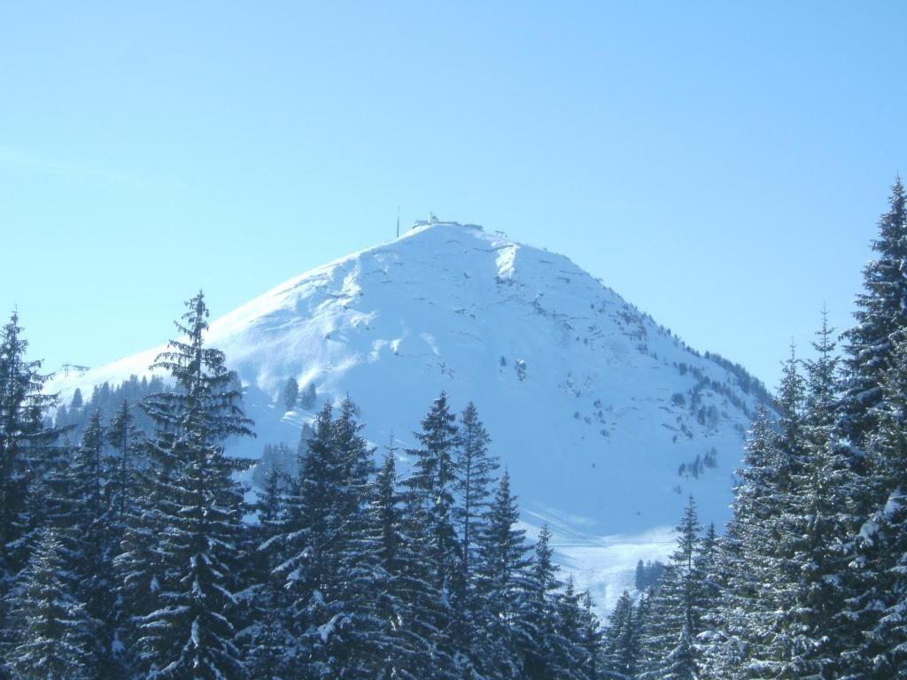 Bauernhof Hundbichl Brixen im Thale Exterior foto