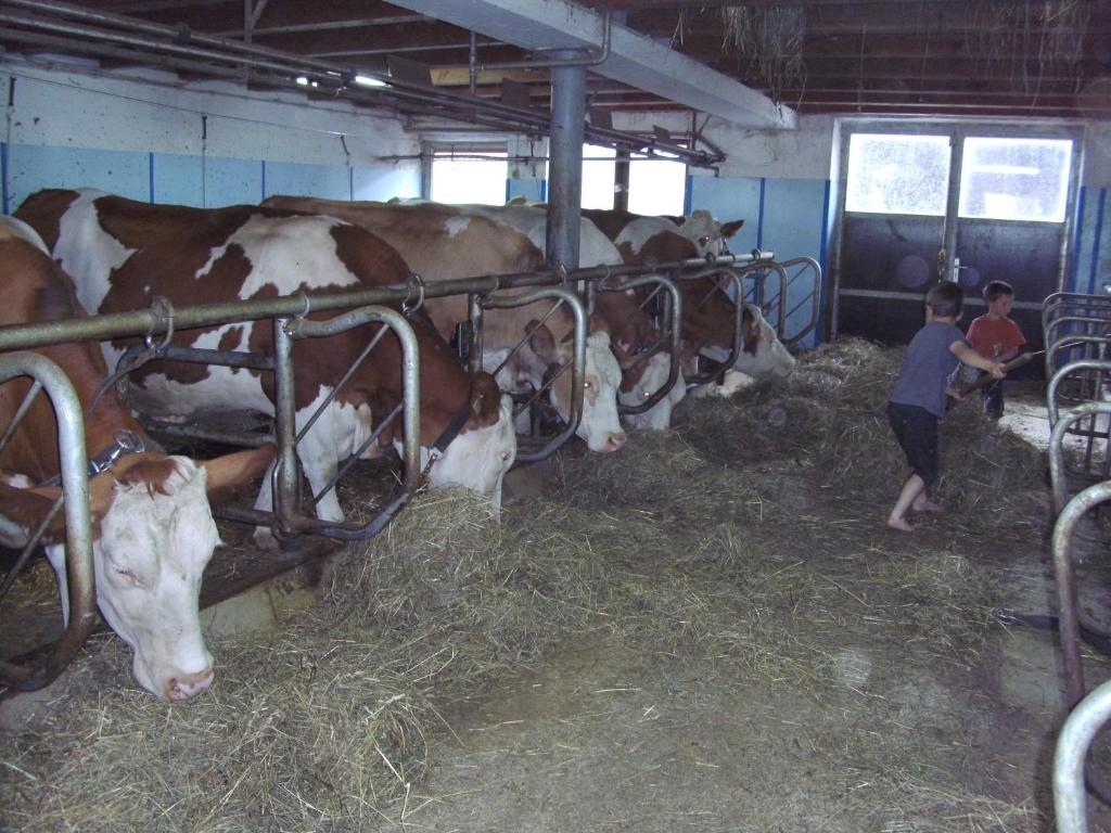Bauernhof Hundbichl Brixen im Thale Exterior foto